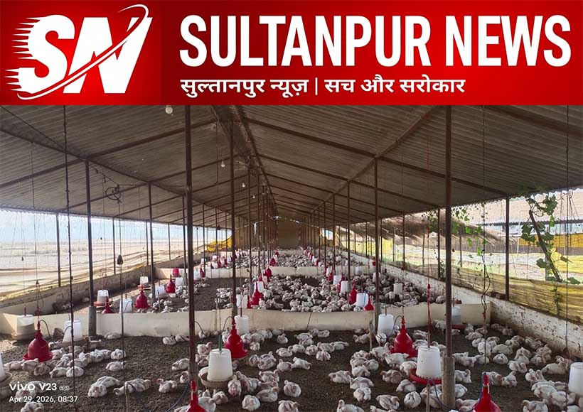 sultanpur-dj-noise-140-chickens-dead-poultry-farm-fir