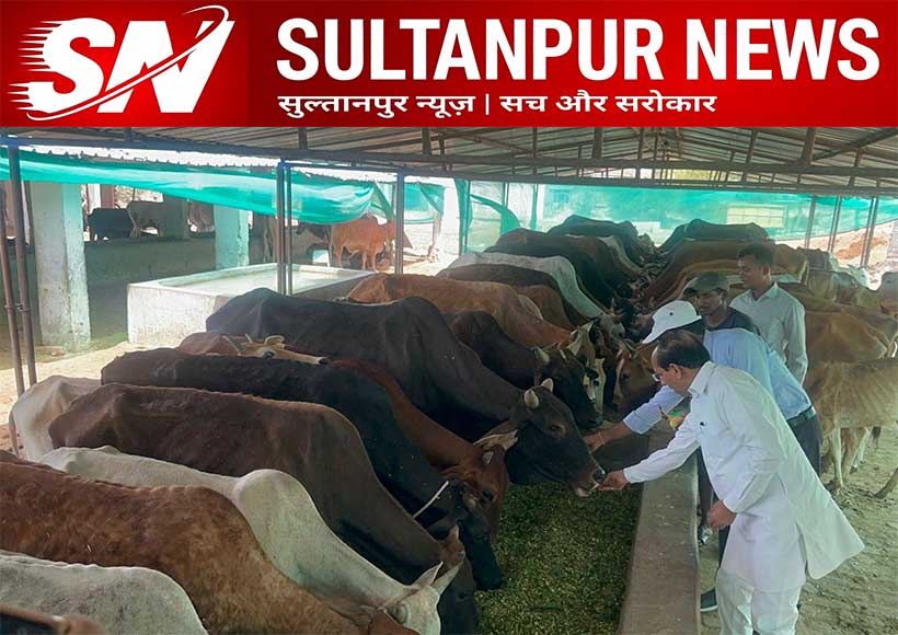 rajprasad-upadhyay-inspected-pidhi-gaushala-sultanpur